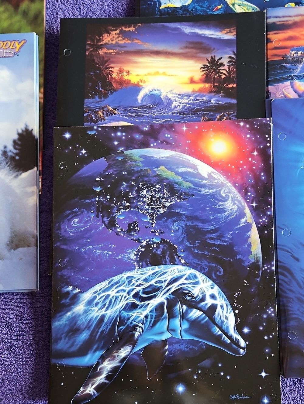 Back To School Portfolio 2 Pocket Folders, 20 In All, New
